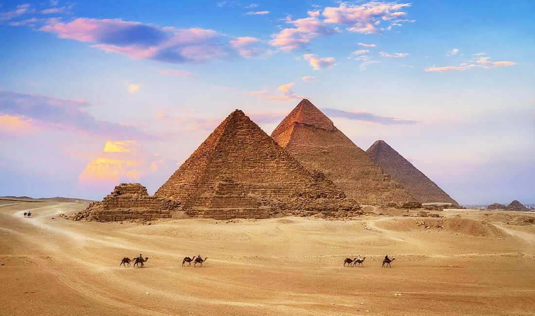 Egypt launches vegetable oils trading hub in the Suez Canal area