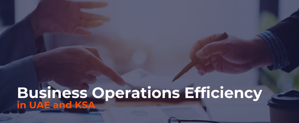 Business Operations Audit