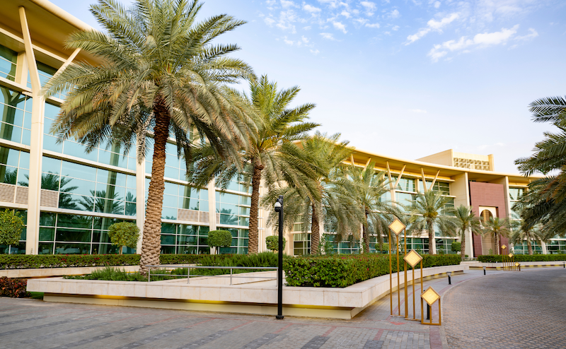 Business Plan for Market Entry into Saudi Arabia